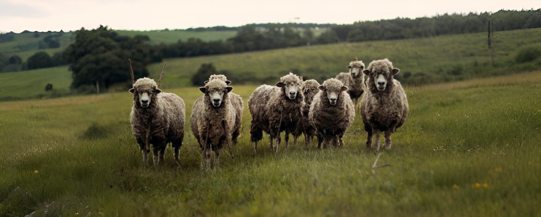 slider image slider_item_BDCyQQ