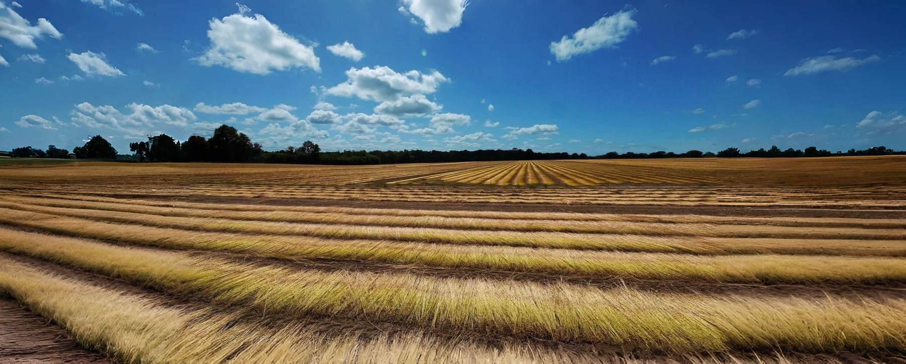 slider image slider_item_bgdEdN